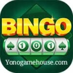 Bingo 101